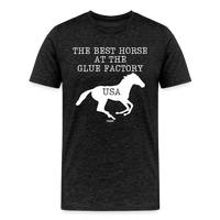 Load image into Gallery viewer, The Best Horse At The Glue Factory Bitcoin T-Shirt - charcoal grey
