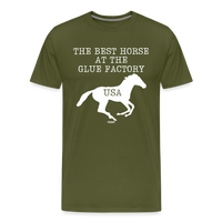 Load image into Gallery viewer, The Best Horse At The Glue Factory Bitcoin T-Shirt - olive green
