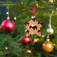 Load image into Gallery viewer, Bitcoin Is For The Honey Badgers Orange Wooden Ornament - fomo21
